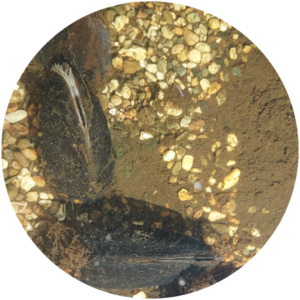 Järvien ja jokien hoitotyö