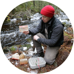 Virtavesien ja taimenkantojen hoitotyö