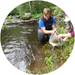 Virtavesien ja taimenkantojen hoitotyö